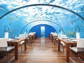 تمتع بعطلة غير اعتيادية تحت الماء مع Hotels.com